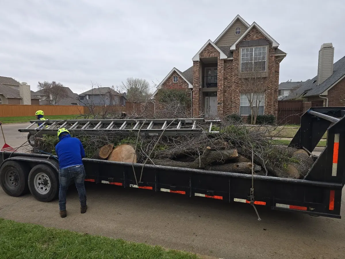 Expert Crown Reduction with proper safety equipment in Lonetree